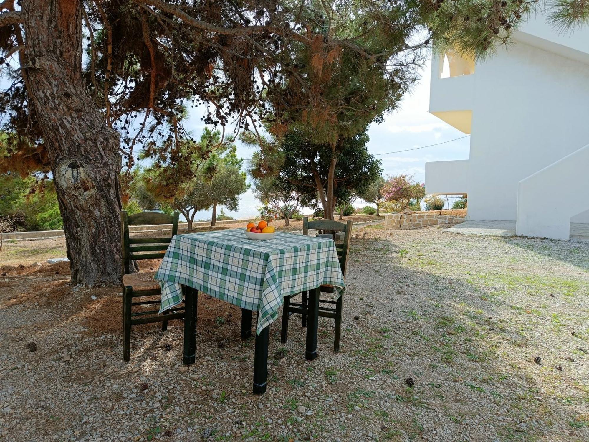 Studios Fokia Beach Amoopi Exterior photo